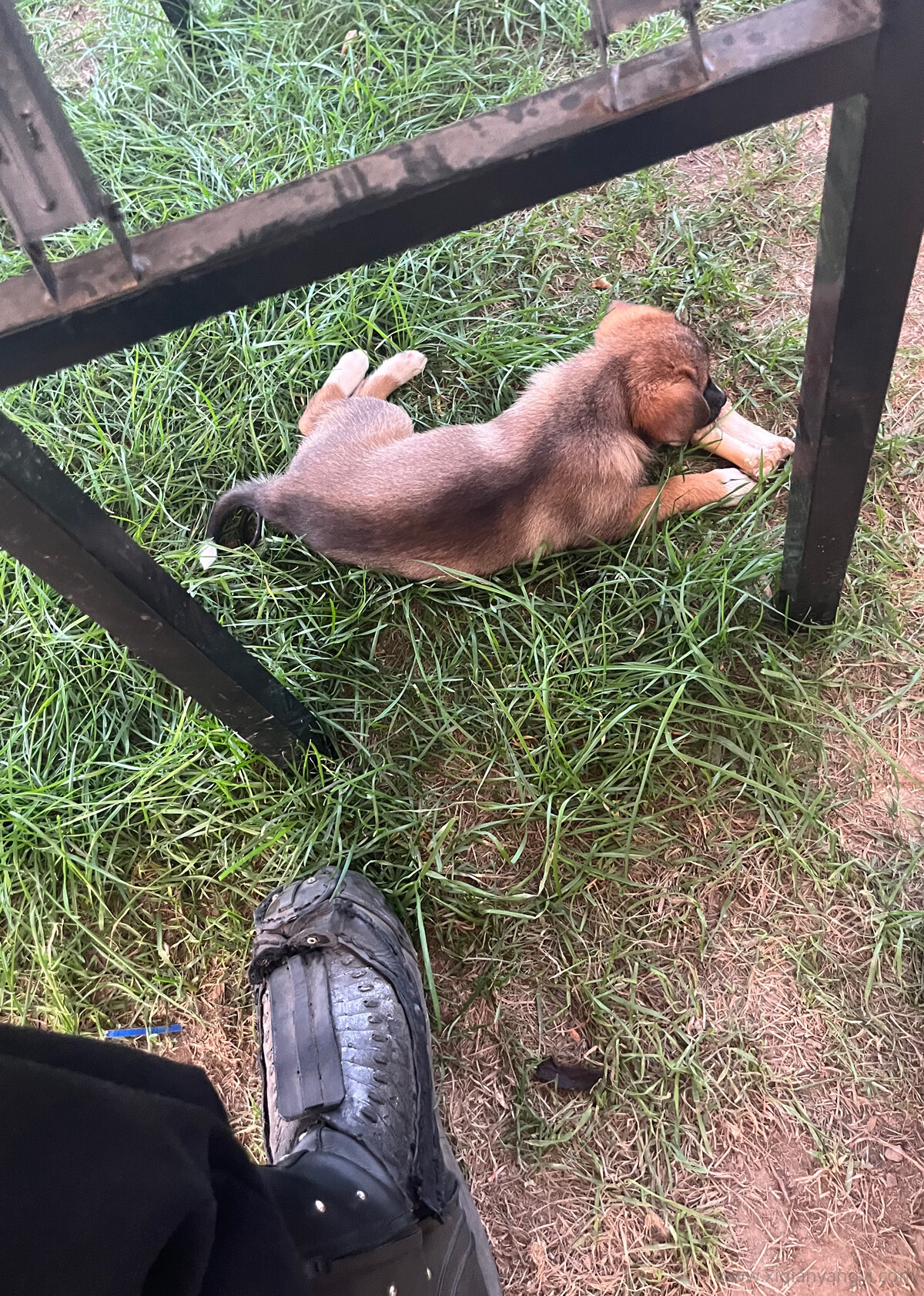 2023 1 20 22 55 19 2023-1-20-22-55-19