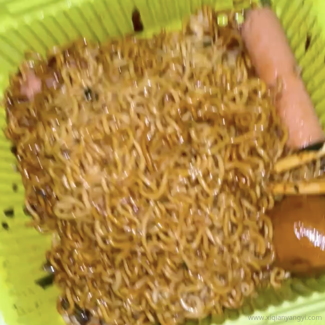 2024 8 22 23 22 50 2024-8-22-23-22-50